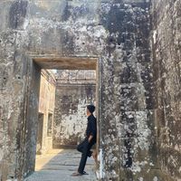 duongduong8629
