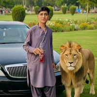 hassan.wali.13