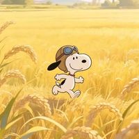 nhạc nền - Đức Nguyễn🧸