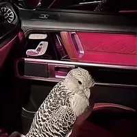 original sound - n0ga42