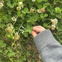 _yyuu222