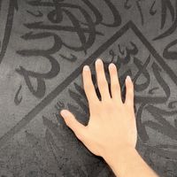 mehar_tom_000