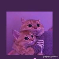 anitoni23