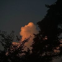 오리지널 사운드 - 하루감상