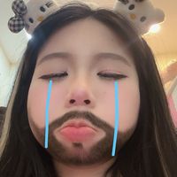 nhạc nền - Thỏ 🐰