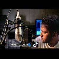 voiceofalvi_87