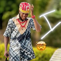 pipaboxx