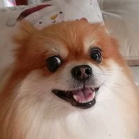 capivarinn07
