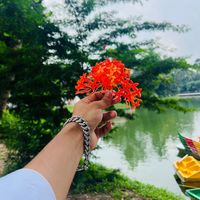 caption_013