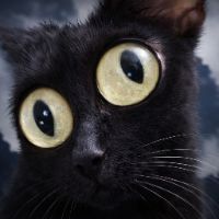 som original - Cronius