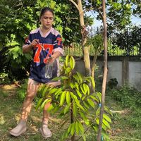 เสียงต้นฉบับ - ๛นาคามีมนต์๛