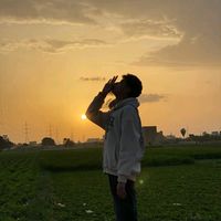 الصوت الأصلي