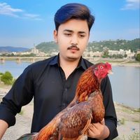 danishtariq476