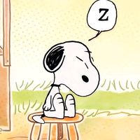 original sound - www