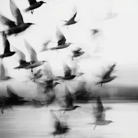 original sound - 3.9.19.32