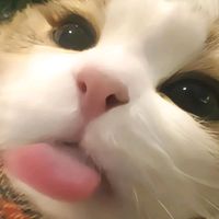 yiran_077