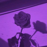 hadiqa_19