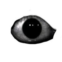 blacky00991827