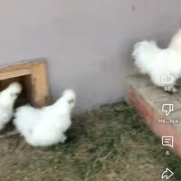 abuabdullah_00