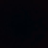 loaiiii_7