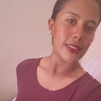 gaviota_515