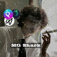 mg_shark_1m