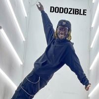 dodozible