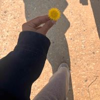 nisha.bhandari30