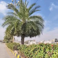 original sound - ghauri_t0wn