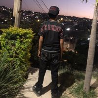 puro MT alv