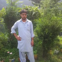 original sound - fayyaz7444