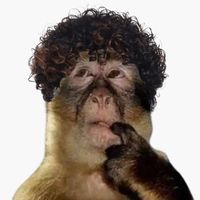 original sound - Lil Bubub