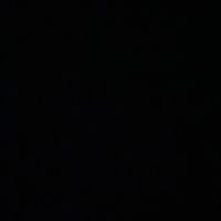 username1256789002