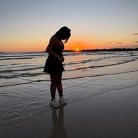 shira8323