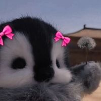 cool_burttefly0