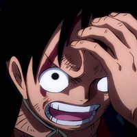 onepiece.f0