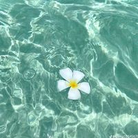 milii_317