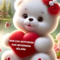 seni_seviyorum_gulsum