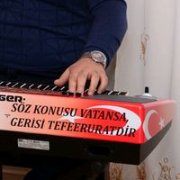 orijinal ses