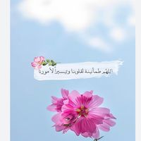 yggt81