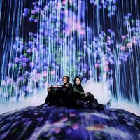 suara asli - Edelweis Al Amin