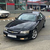 gzjnf