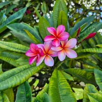 original sound - user774520967