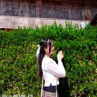 ying.tai195