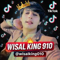 wisalking910