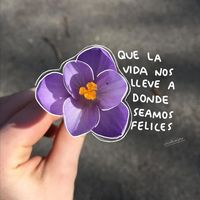 sonido original