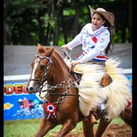 noe_del_py_
