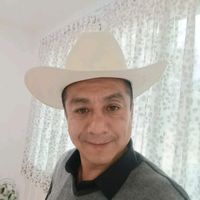 roro_385