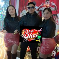 merliblasharo
