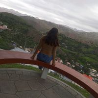 antonella37561